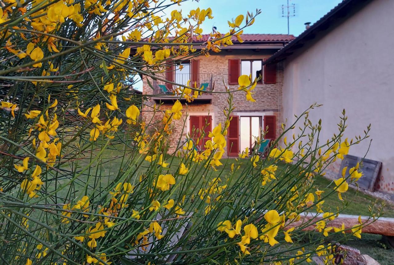 Apartament Cascina Nomade - Wine & Scenic Retreat Dogliani Zewnętrze zdjęcie
