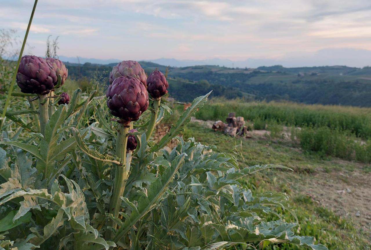 Apartament Cascina Nomade - Wine & Scenic Retreat Dogliani Zewnętrze zdjęcie