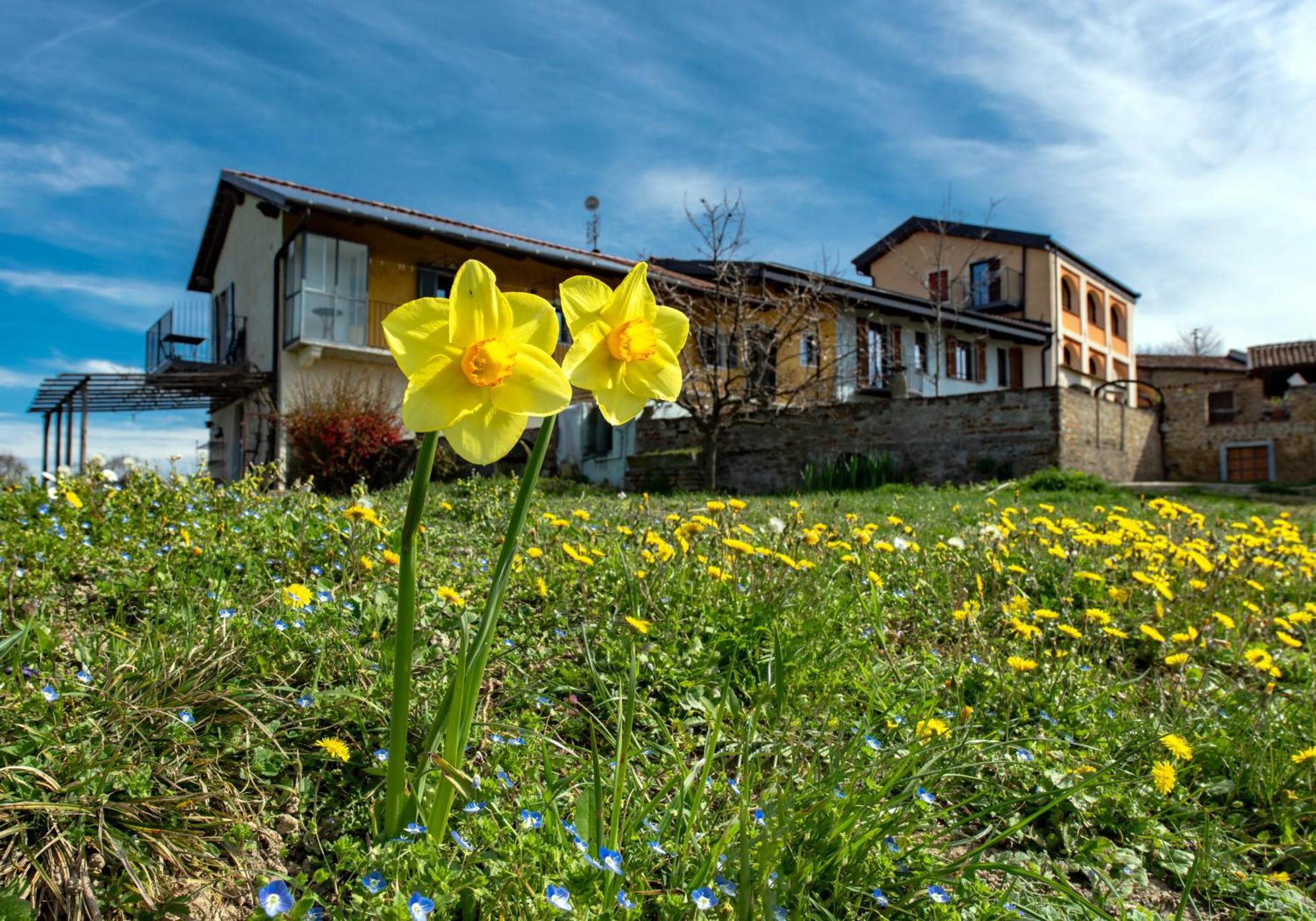 Apartament Cascina Nomade - Wine & Scenic Retreat Dogliani Zewnętrze zdjęcie