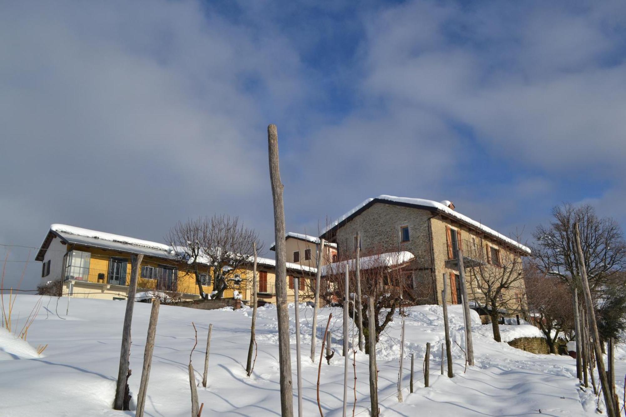 Apartament Cascina Nomade - Wine & Scenic Retreat Dogliani Zewnętrze zdjęcie